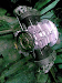 Vw Medio Motor  Normales Y Alterados
