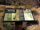 Bell Frogs Information Stop