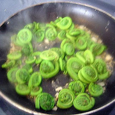 Fiddlehead Ferns With Escargot Butter