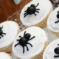 Halloween Spider Cupcakes
