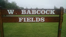 West Babcock Fields
