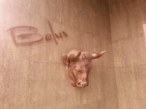 Belux Bull Head