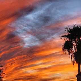 Fire in the sky by Dave . - Landscapes Weather