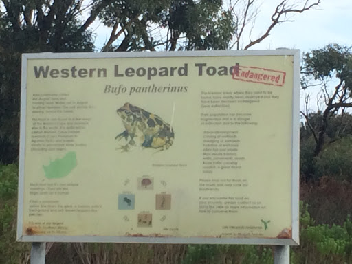 Endangered Leopard Toad Information Board