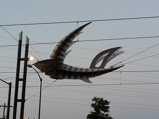 Flying Fish Art