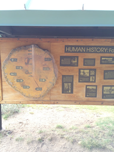 Human History