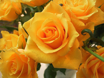 Fun, Entertainment, Wallpapers, Videos, Jokes & mOre Only @ MumbiHangout Visit Us @ www.MumbaiHangOut.Org