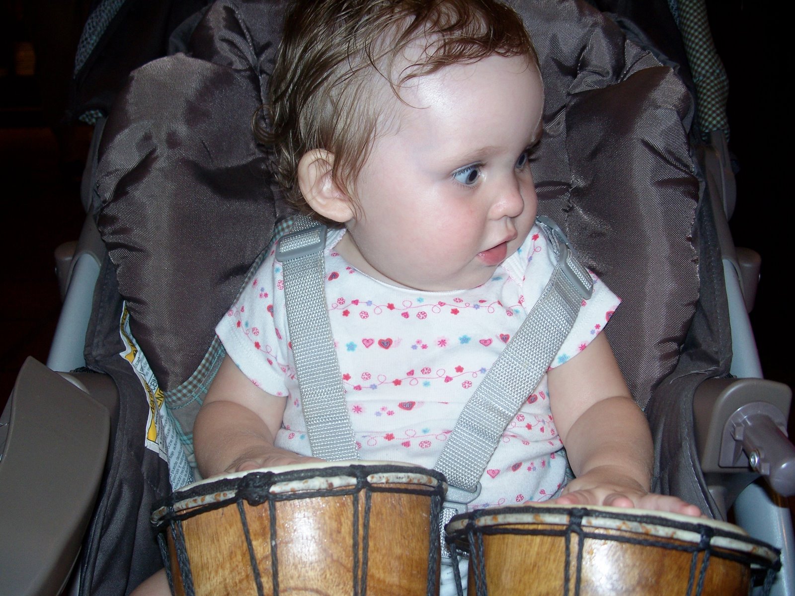 [1st animal kingdom visit 047[2].jpg]