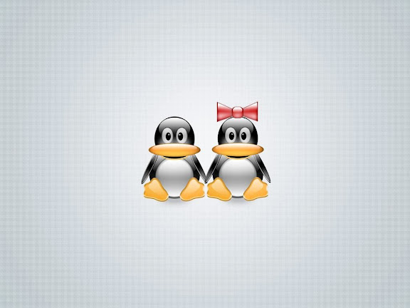 Linux desktop wallpaper 1024515554037.jpg