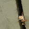 DSCN3869.jpg