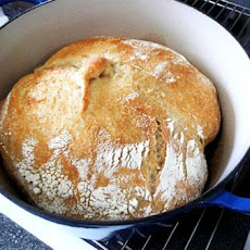 Harry's Whole Grain No Knead Dutch Oven Bread