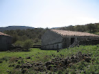 Edifici