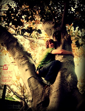 Hug_A_Tree_by_lastcookieinthejar