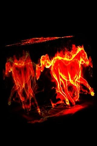 3D Horses