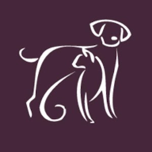 AMC Vet.apk 300000.0.53