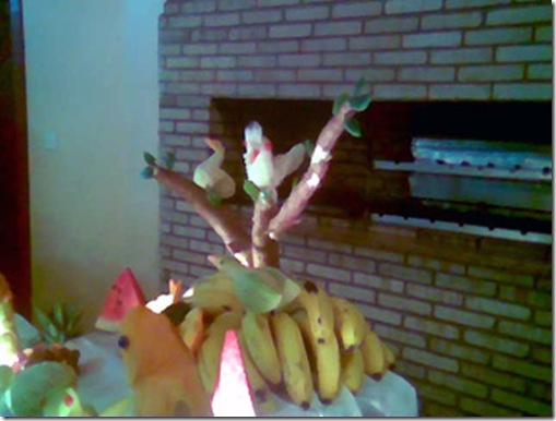 Imag029