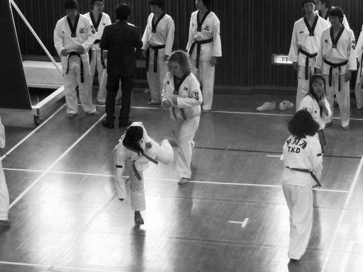 [tkdblackbelt 066[2].jpg]