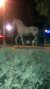 City Center Horse