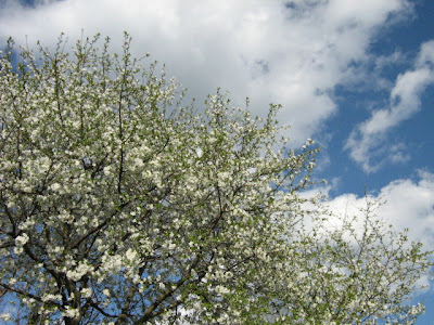 The spring of 2007