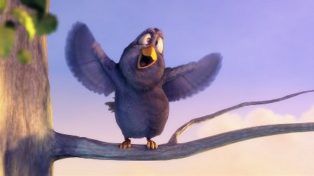 nice bird