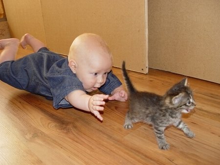 http://lh3.ggpht.com/funnybabies.lj/SEmyTJHZ8HI/AAAAAAAAAIQ/8OMWc8UWHCg/s800/08da2ff399ebc76600bef6704847c456.jpg