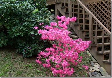 100_1573