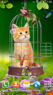 How to download Cat and Hummingbirds Wallpaper 1.0.3 unlimited apk for laptop