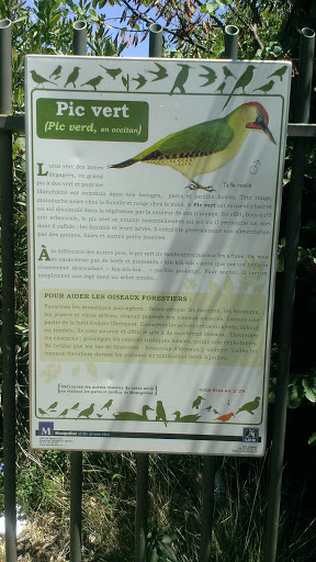 Parcours Ornithologique