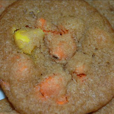 Rainbow Dotted Cookies