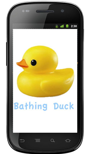 Bathing Duck