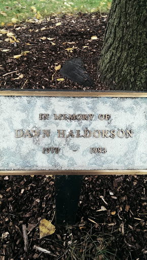 Dawn Haldorson Living Memorial Tree