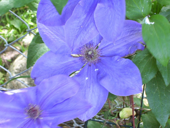 Spotting Image 1