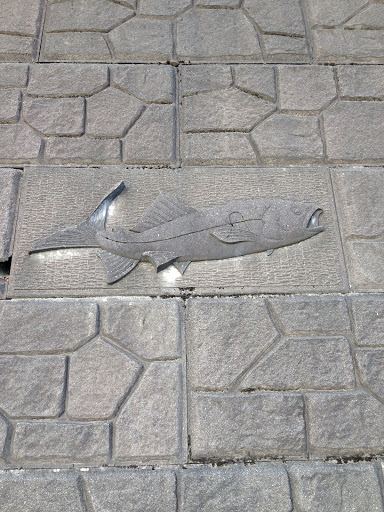 コンクリート壁の鯉