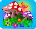 Magic Mushrooms