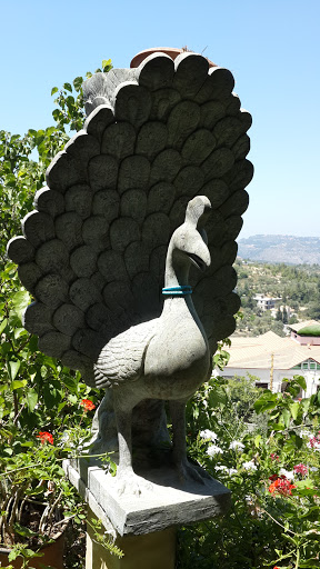 Stone Peacock