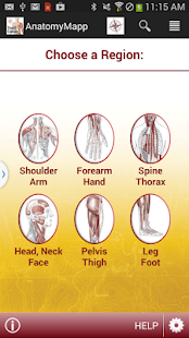 How to get AnatomyMapp 1.0 mod apk for bluestacks