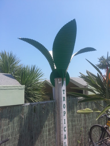 Metal Palm at Tropical Beach