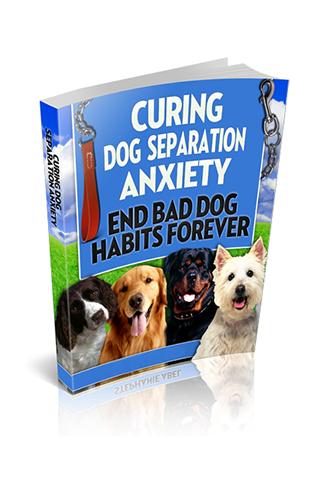 Curing Dog Separation Anxiety