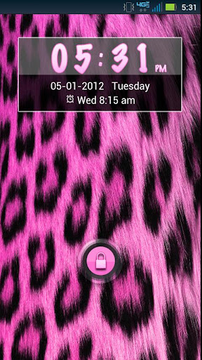 GO Locker Pink Cheetah Theme