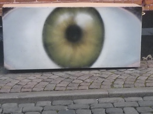 Eye In The Street