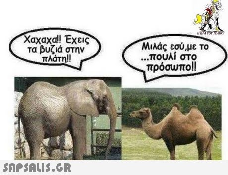 χαχαχα!! Έχεις τα βυζιά στην πλάτη!! Μιλάς εσύ,με το πουλί στο πρόσωπο!! 