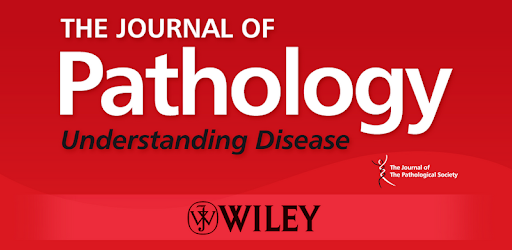 Canadian Journal of Anesthesia -  apk apps