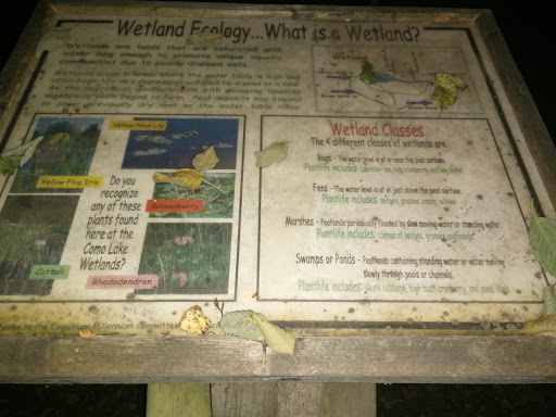 What Is A Wetland? Como Lake Intro Board