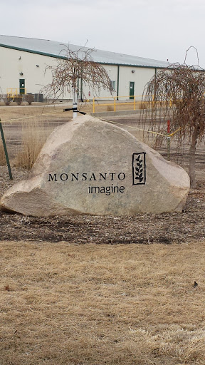 Monsanto Rock