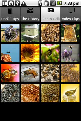 免費下載生活APP|Beekeeping app開箱文|APP開箱王