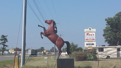 Chick's Horse Statue