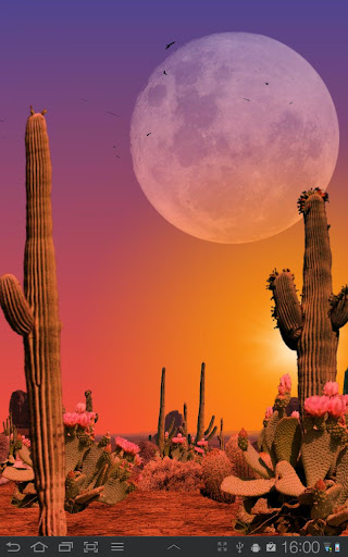 【免費個人化App】Desert Free Live Wallpaper-APP點子