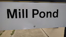 Mill Pond Park