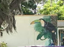 Dunedin Toucan Mural