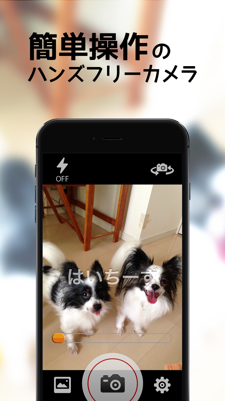 Android application VoiceShutter screenshort